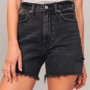 Abercrombie & Fitch High Rise Dad Shorts Curve Love